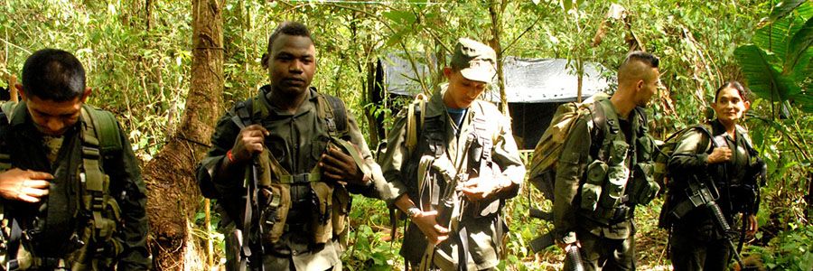 Guérilla des Farc, l’avenir a une histoire